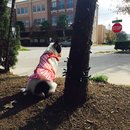 Nephew's Christmas (448544)