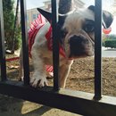 Nephew's Christmas (448357)