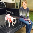 Nephew's Christmas (448375)