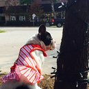 Nephew's Christmas (448522)