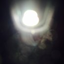 2016 Random iPhone Photos (448465)