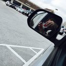 Nephew's Christmas (448340)