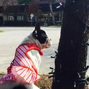 Nephew's Christmas (448390)