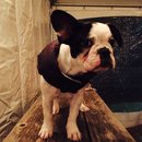 Dreux's Starwars Birthday (448446)