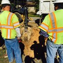 Plumbing and Shed (448493)