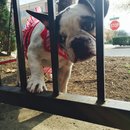 Nephew's Christmas (448478)