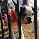 Nephew's Christmas (448346)