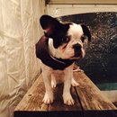 Dreux's Starwars Birthday (448518)