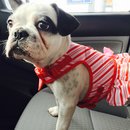 Nephew's Christmas (448573)