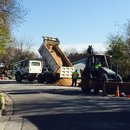 Plumbing and Shed (448430)