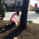 Nephew's Christmas (448513)