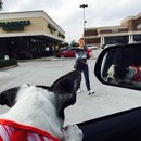 Nephew's Christmas (448540)