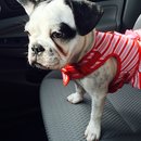 Nephew's Christmas (448484)