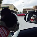 Nephew's Christmas (448413)