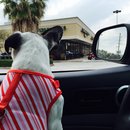 Nephew's Christmas (448431)