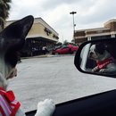 Nephew's Christmas (448393)