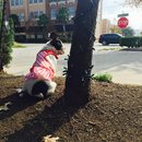 Nephew's Christmas (448516)