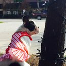 Nephew's Christmas (448587)