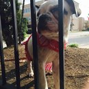 Nephew's Christmas (448463)