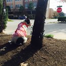 Nephew's Christmas (448474)