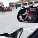 Nephew's Christmas (448352)