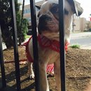 Nephew's Christmas (448356)