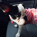 Nephew's Christmas (448800)