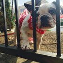 Nephew's Christmas (448777)