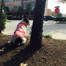 Nephew's Christmas (448620)