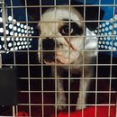 XMas with Brooke's Family (448683)