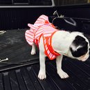 Nephew's Christmas (448845)