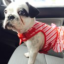 Nephew's Christmas (448628)