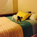 Rehearsal and Studio Time (448766)