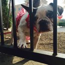 Nephew's Christmas (448785)