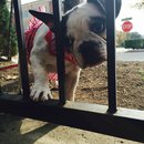 Nephew's Christmas (448644)