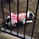 Nephew's Christmas (448819)