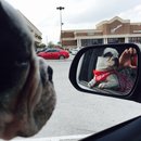 Nephew's Christmas (448646)