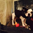 Dreux's Starwars Birthday (448820)