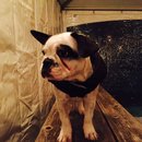 Dreux's Starwars Birthday (448672)