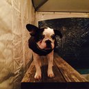 Dreux's Starwars Birthday (448741)