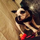 Dreux's Starwars Birthday (448781)