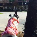 Nephew's Christmas (448625)