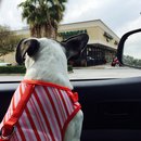 Nephew's Christmas (448752)