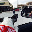 Nephew's Christmas (448654)