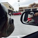 Nephew's Christmas (448658)