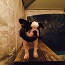 Dreux's Starwars Birthday (448786)