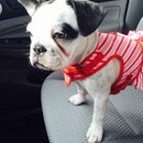 Nephew's Christmas (448755)