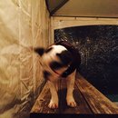 Dreux's Starwars Birthday (448756)