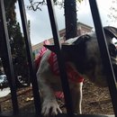 Nephew's Christmas (448610)