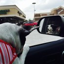 Nephew's Christmas (448622)